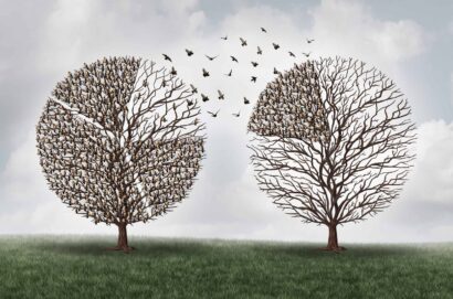 diverzifikácia portfólia