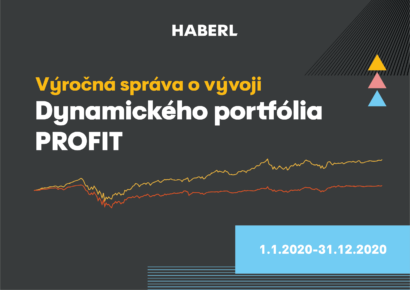 výročná správa profit